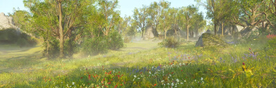 lush biome